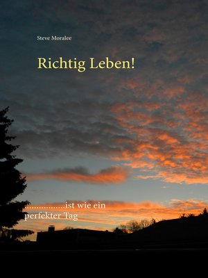 cover image of Richtig Leben!